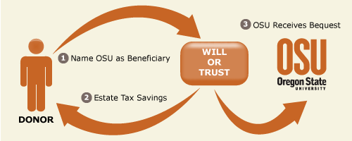 Bequest Diagram