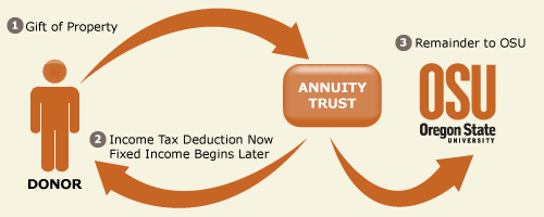 Flexible Gift Annuity Diagram