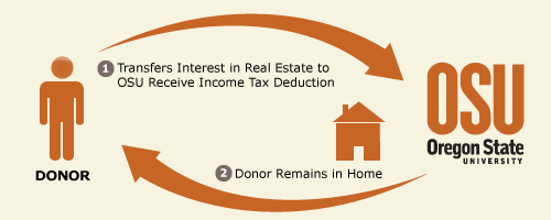RLE Diagram